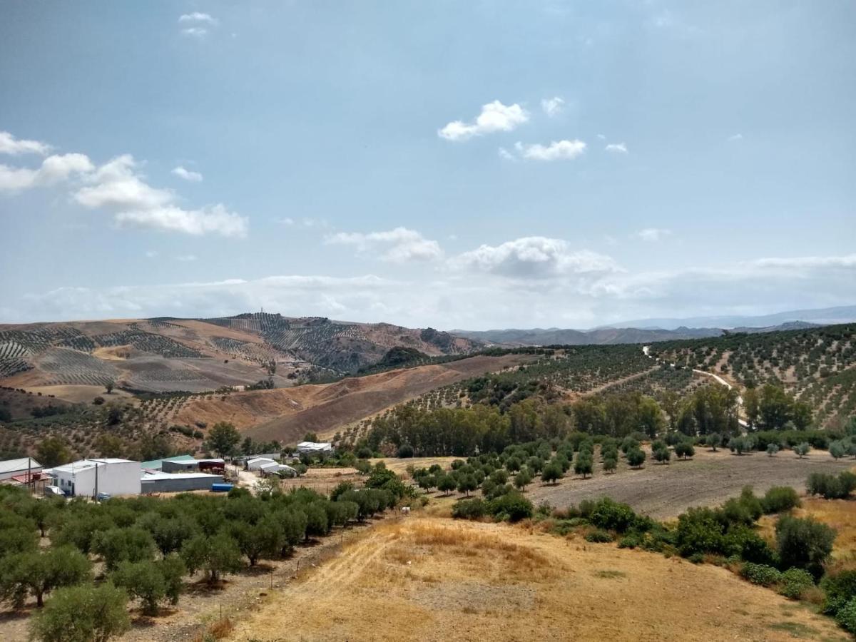 Apartamento Completo En Sierra Sur Villanueva de San Juan Dış mekan fotoğraf